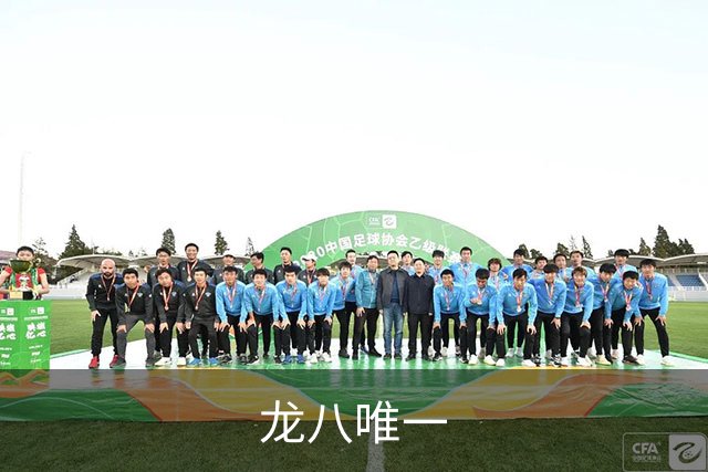 龙八唯一公司形象展示